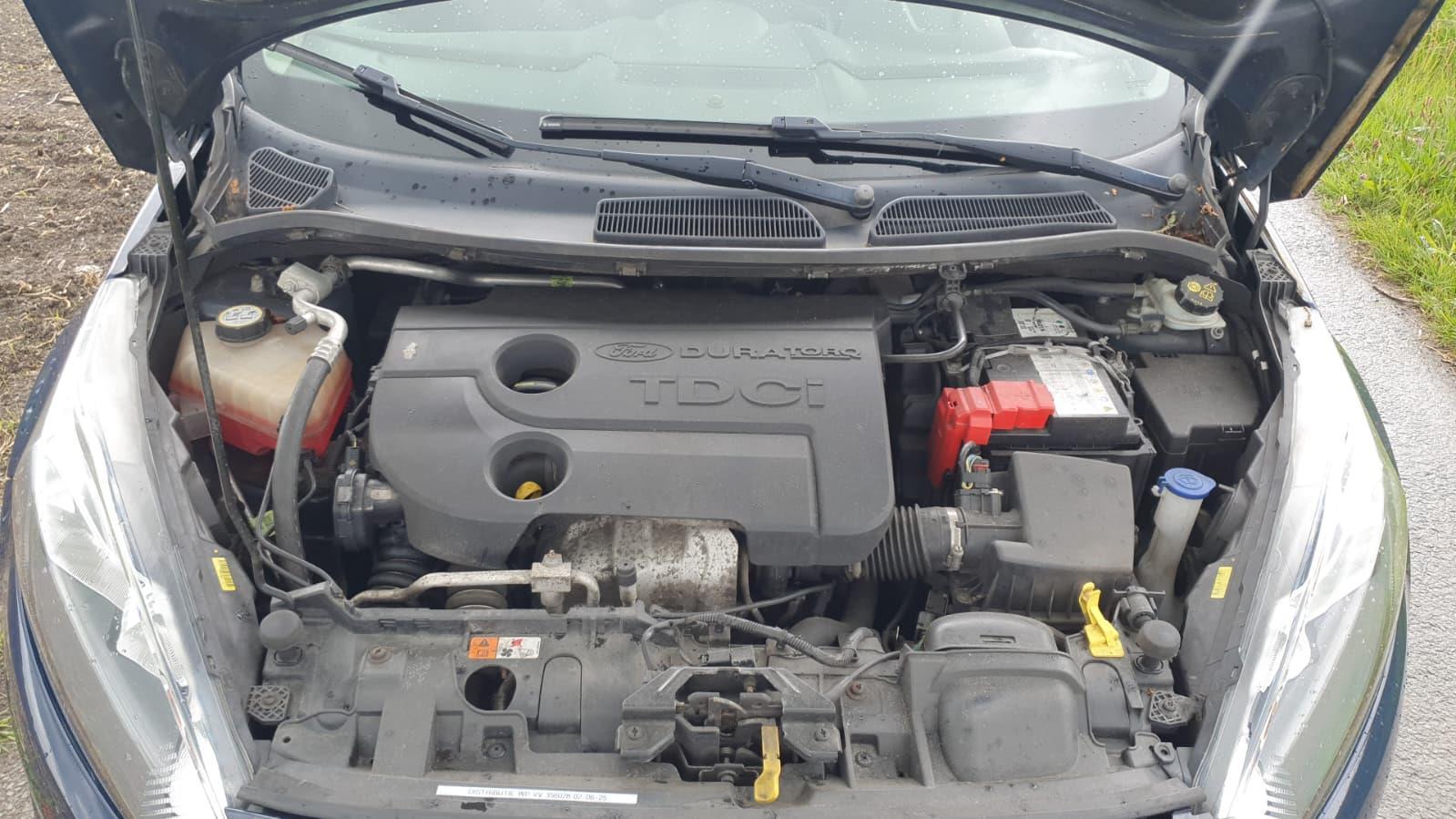 Ford | Fiesta | 1.6 TDCi Champion | 2013 | 384.718 km | 7KGL24 | Logisch