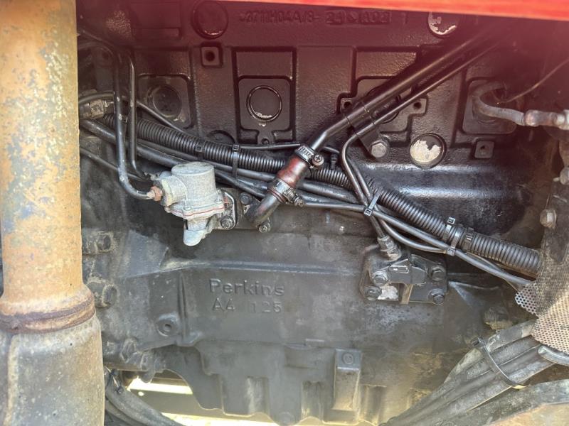 ماسي فيرغسون 6255-46723740