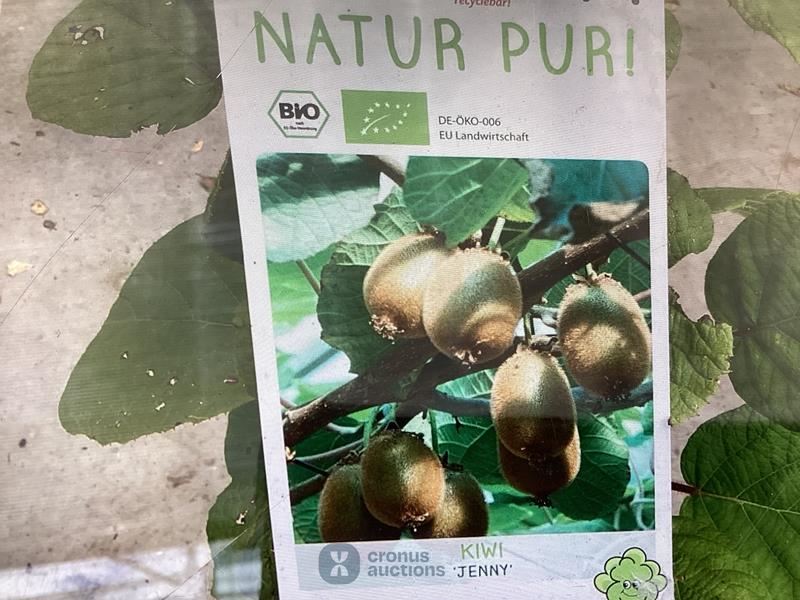 10 kiwi mix