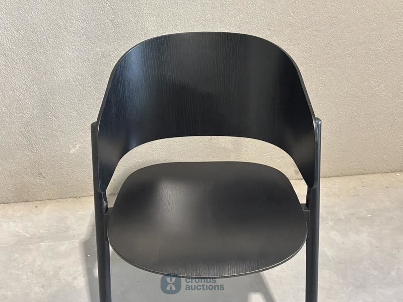 Chameleon chair