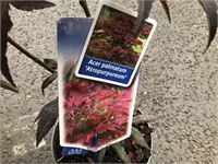 10 acers