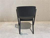 Chameleon chair