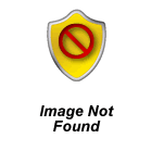 FDR Auctions