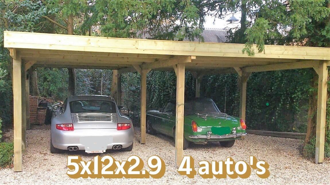 Carport 4 Autos 5x12x2,9