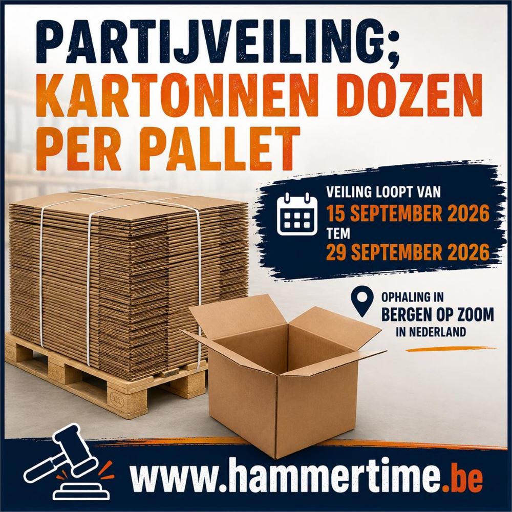 Partijveiling; Kartonnen Dozen Per Pallet