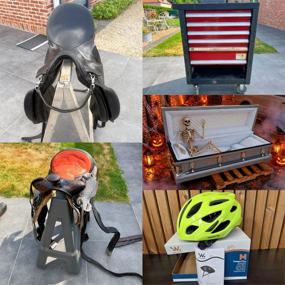 Dressuur En Diversen – veiling bij Hammertime