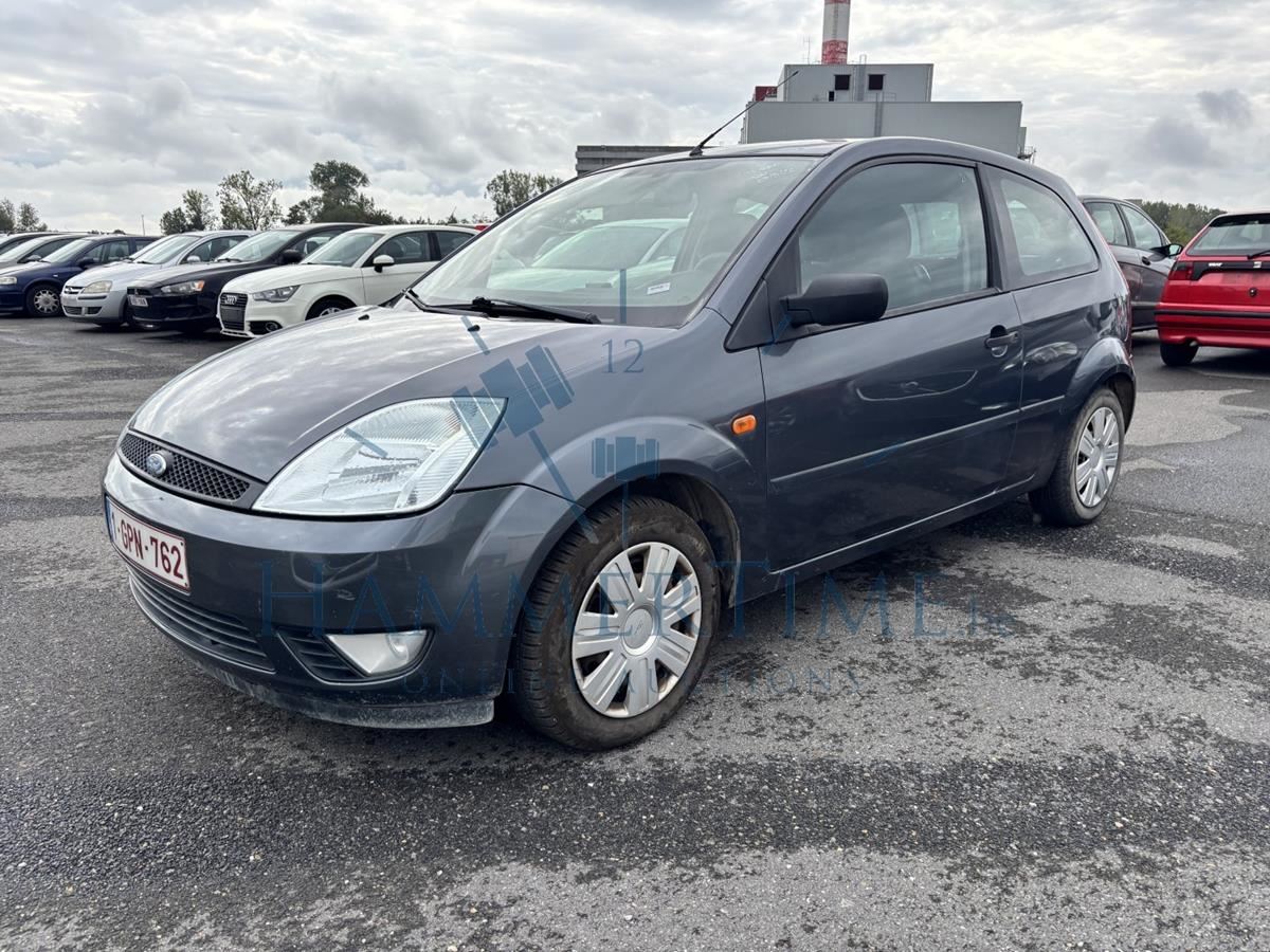 Ford Fiesta Van 1.4 Turbo Tdci, 2006 – kavel bij Hammertime