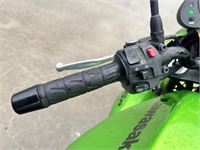 Kawasaki Er, 2008 – foto 10 – kavel bij Hammertime