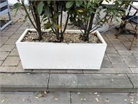 9 Div Plantenbakken Incl Planten – foto 4 – kavel bij Hammertime