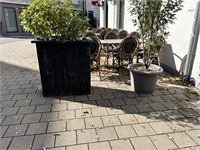 9 Div Plantenbakken Incl Planten – foto 7 – kavel bij Hammertime