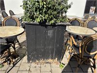 9 Div Plantenbakken Incl Planten – foto 6 – kavel bij Hammertime