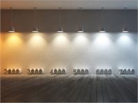 [01204] 7w Led Black Wall Lamp Round Dual Light Adjustable Waterproof – foto 10 – kavel bij Hammertime, Puurs