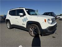 Jeep Renegade – foto 3 – kavel bij Hammertime