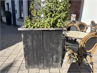 9 Div Plantenbakken Incl Planten – foto 5 – kavel bij Hammertime