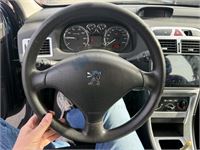 Peugeot 307 1.4i D-Sign, 2007 – foto 16 – kavel bij Hammertime