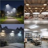 Led Industrieel; Ophaling Puurs – veiling bij Hammertime, Puurs