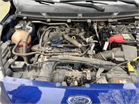 Ford Ka+ Active 1.2i (eu6.2), 2019 – foto 28 – kavel bij Hammertime