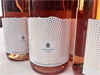 6 Flessen Rosé Wijn Cantina Sampietrana – foto 2 – kavel bij Hammertime