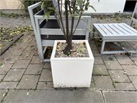 9 Div Plantenbakken Incl Planten – foto 3 – kavel bij Hammertime