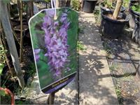 1 Wisteria – foto 2 – kavel bij Hammertime, Westerlo