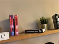 Inhoud Boekenrek – foto 5 – kavel bij Hammertime