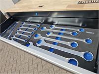 Gereedschapswagen Eversteel Profi Xxxl 11/9 – foto 9 – kavel bij Hammertime