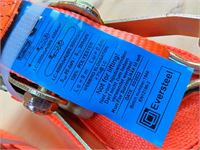 10x Eversteel Spanband 5t-9m-50 – foto 4 – kavel bij Hammertime