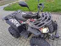 Commander 200cc – foto 10 – kavel bij Hammertime