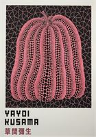 Yayoi Kusama – foto 2 – kavel bij Hammertime