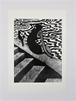 Leon Spilliaert - Gelimiteerde Editie – foto 2 – kavel bij Hammertime