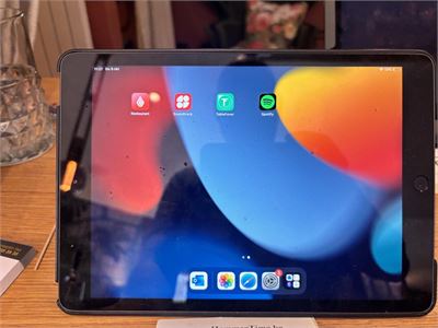 1 Apple Ipad 7th Gen – kavel bij Hammertime