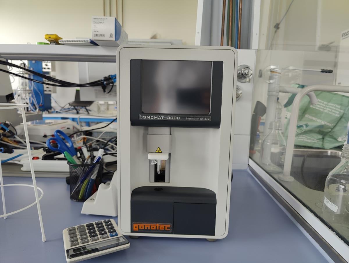 Hammertime Online Veilingen