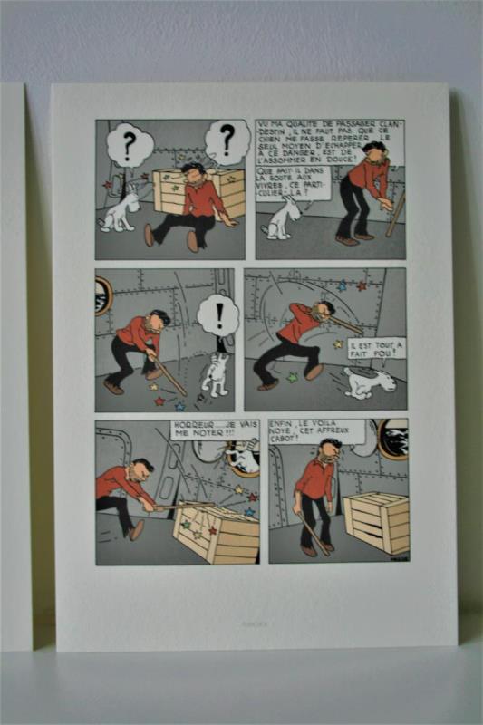 https://cdn.aeman.nl/AE_Hammertime/image/800/800/00c12626-1674-4f0a-a034-5f4407b2379e/jpg