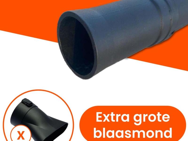 https://cdn.aeman.nl/AE_Hammertime/image/800/800/03208995-17e8-4afd-97f9-61f811f62aad/jpg