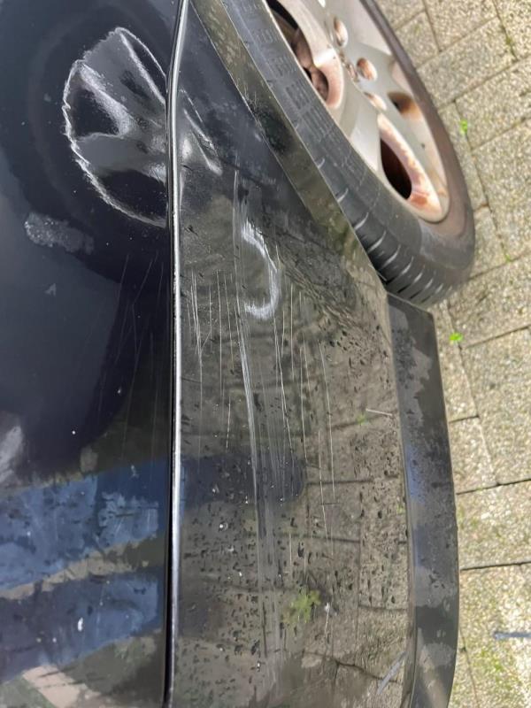 https://cdn.aeman.nl/AE_Hammertime/image/800/800/0487a1bc-1e7d-42c4-af2b-b009dae2dbc7/jpg