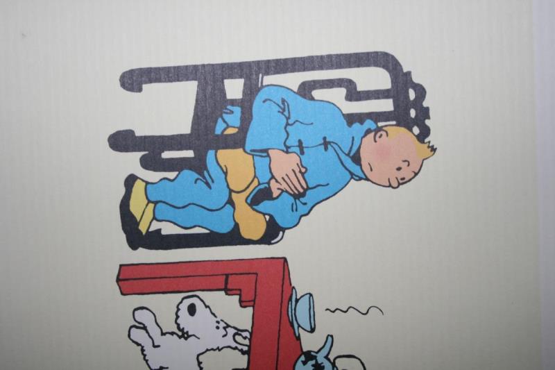 https://cdn.aeman.nl/AE_Hammertime/image/800/800/06559fee-d12b-46cc-b70d-bca5ede91801/jpg