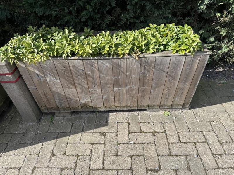 https://cdn.aeman.nl/AE_Hammertime/image/800/800/0805a4f4-e3a6-4140-bbdf-223423a660b7/jpg