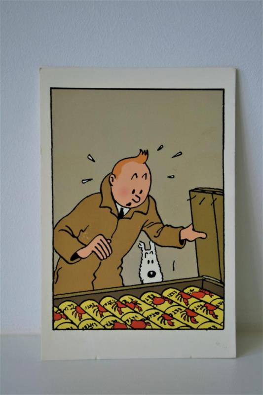 https://cdn.aeman.nl/AE_Hammertime/image/800/800/0827b7e5-6ac5-4d55-b022-0b6d212e1309/jpg