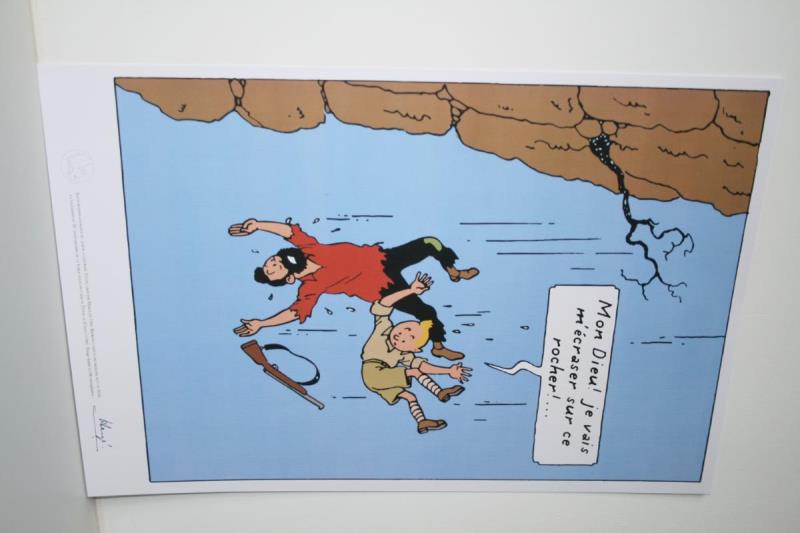 https://cdn.aeman.nl/AE_Hammertime/image/800/800/086179e8-c5d4-4544-890b-5f388d209a1b/jpg