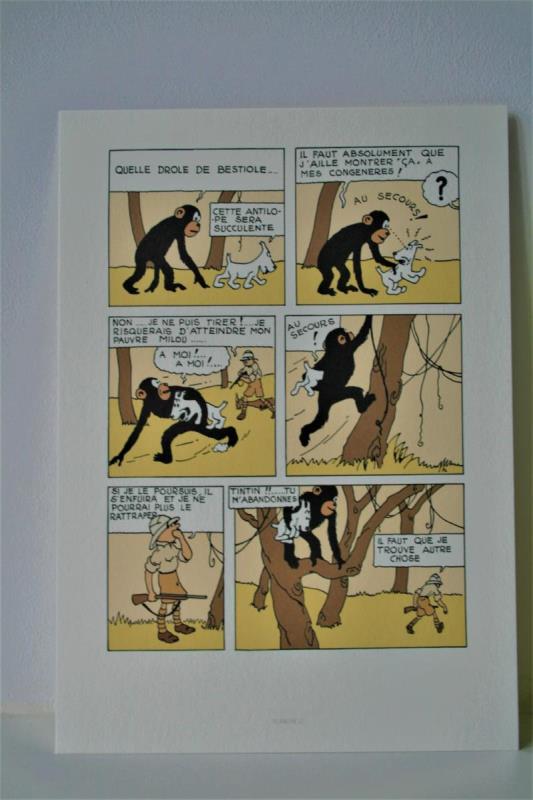 https://cdn.aeman.nl/AE_Hammertime/image/800/800/08ff4230-6c4c-45c0-8632-e59a4036eaa6/jpg