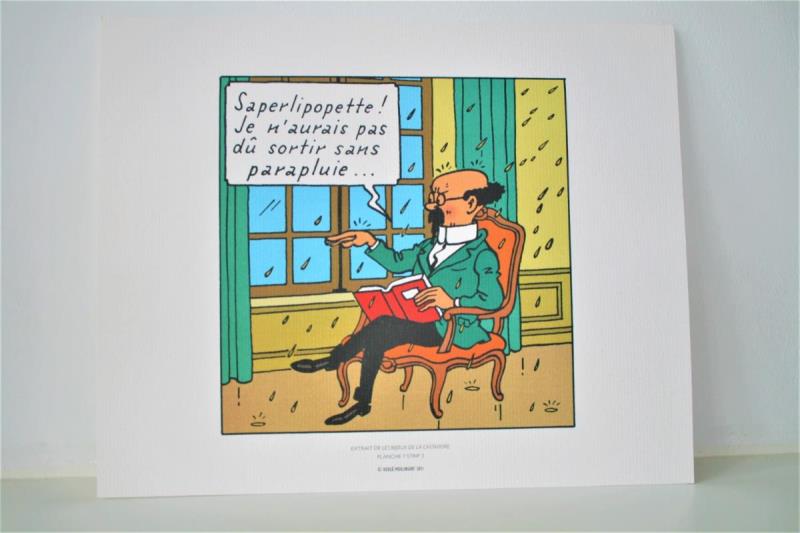 https://cdn.aeman.nl/AE_Hammertime/image/800/800/09f507f0-0c69-48d1-823c-6236b3a5eaa1/jpg
