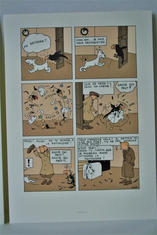 https://cdn.aeman.nl/AE_Hammertime/image/800/800/0affc317-bf65-45cd-bd46-865d0a832733/jpg