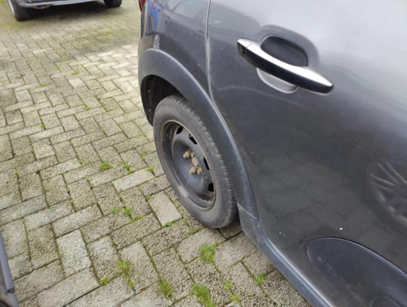 https://cdn.aeman.nl/AE_Hammertime/image/800/800/0b8f6d11-ad12-4670-a6b0-3cc622133528/jpg