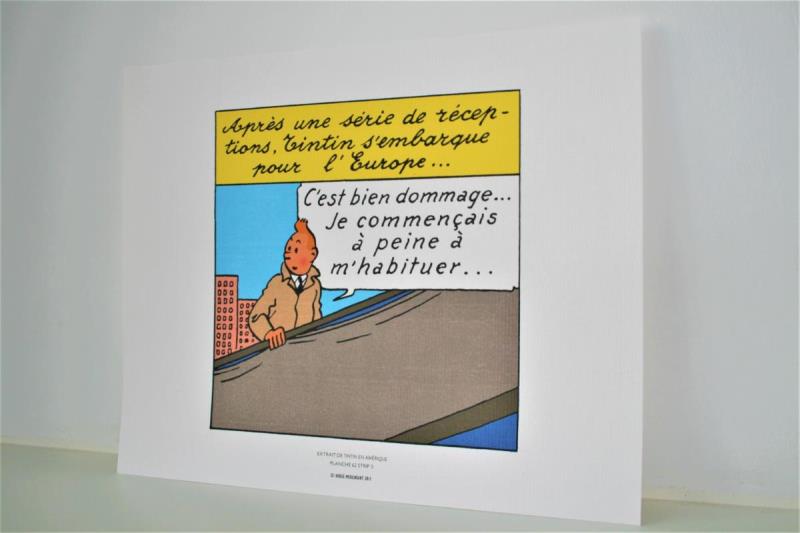 https://cdn.aeman.nl/AE_Hammertime/image/800/800/0ed1e89e-78b3-4065-b3d1-b883e6f7400a/jpg