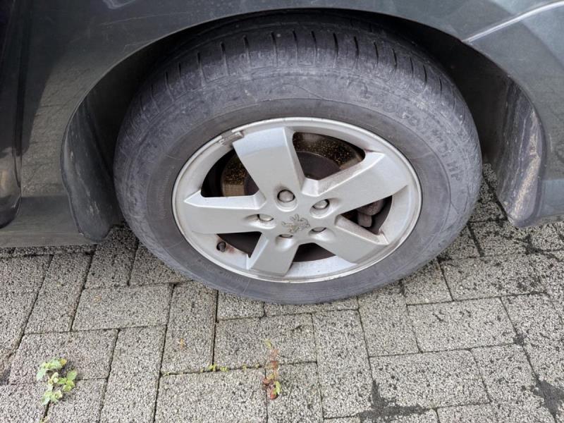 https://cdn.aeman.nl/AE_Hammertime/image/800/800/149d51f3-1fb3-43e8-8806-008dd3bbc87d/jpg