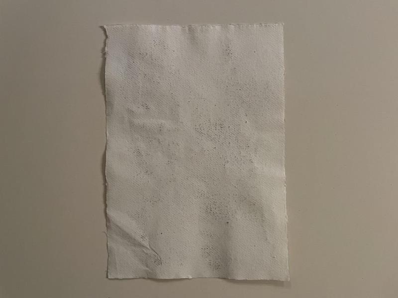 https://cdn.aeman.nl/AE_Hammertime/image/800/800/1580feb9-323f-4309-b5f0-cc8b322ad6f7/jpg