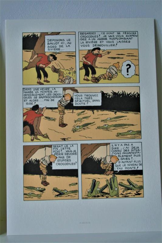 https://cdn.aeman.nl/AE_Hammertime/image/800/800/159ce453-9edd-4031-828b-dace662ca48f/jpg