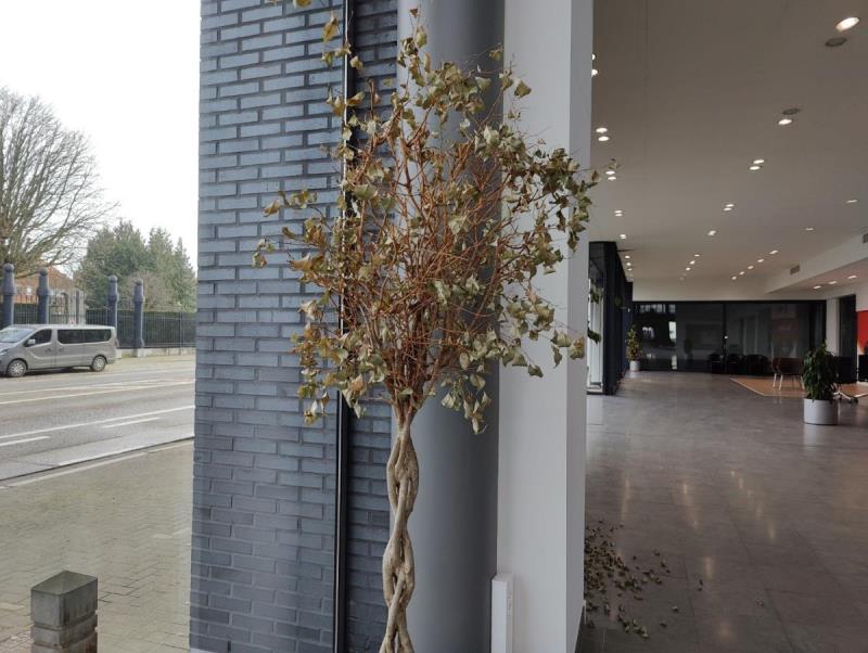https://cdn.aeman.nl/AE_Hammertime/image/800/800/15f6dc55-3d84-4a78-9152-e33d30e1bf2f/jpg