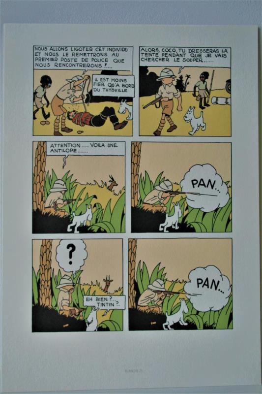 https://cdn.aeman.nl/AE_Hammertime/image/800/800/16d3f398-cf48-463b-bcd2-d08345ccfde9/jpg