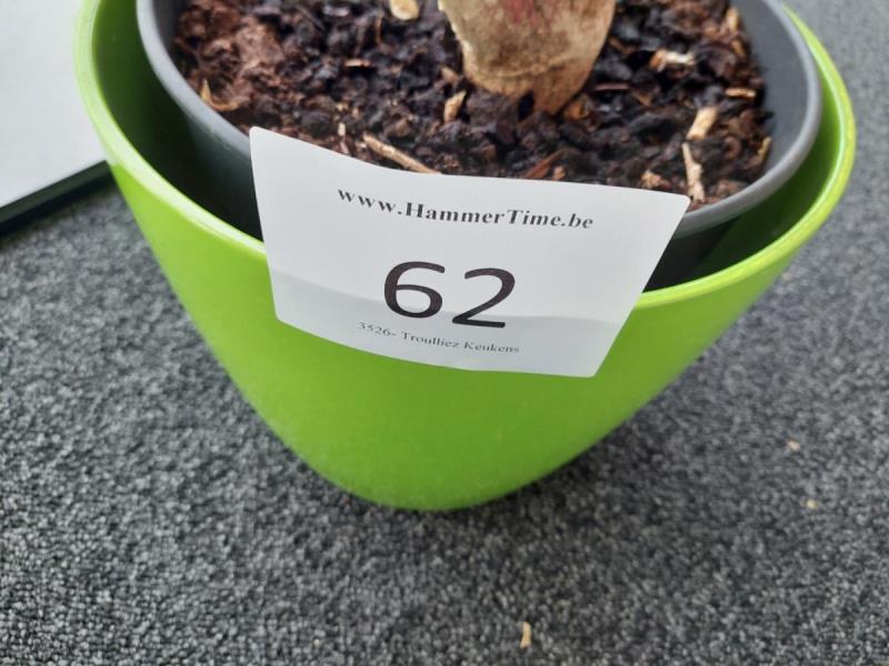 https://cdn.aeman.nl/AE_Hammertime/image/800/800/17e1fc67-fabd-4761-a4ae-98734d8270c6/jpg